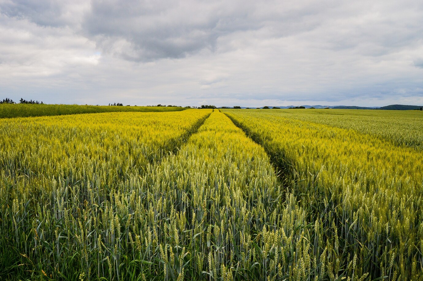 Agricoltura Agricoltura