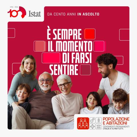censimento istat 